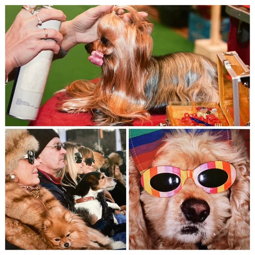 ©Expo Martin Parr Musée Jeau Paume Paris 2026