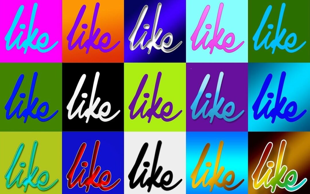 Nos coups de coeur de janvier